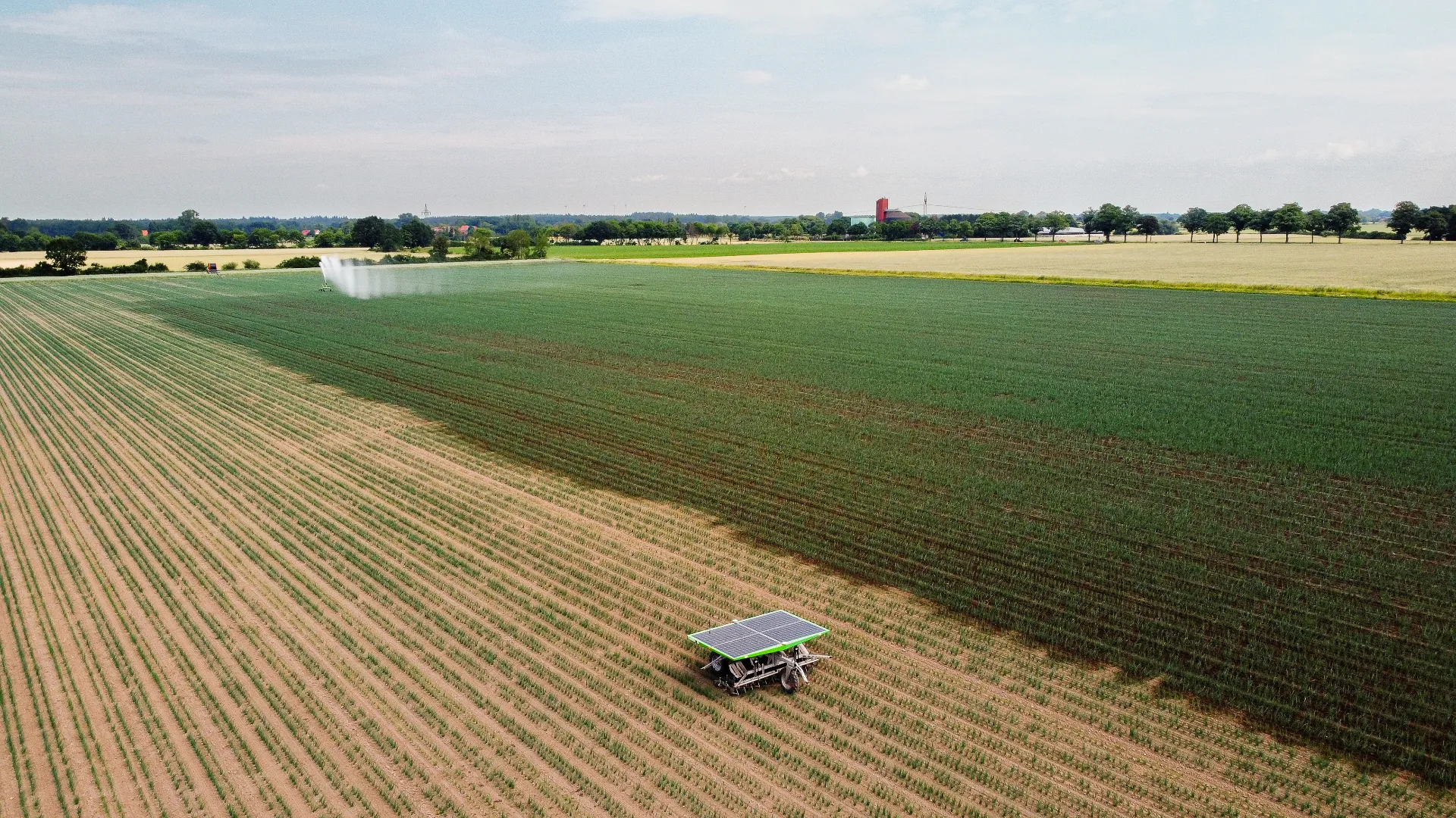 FarmDroid running in onion field in germany