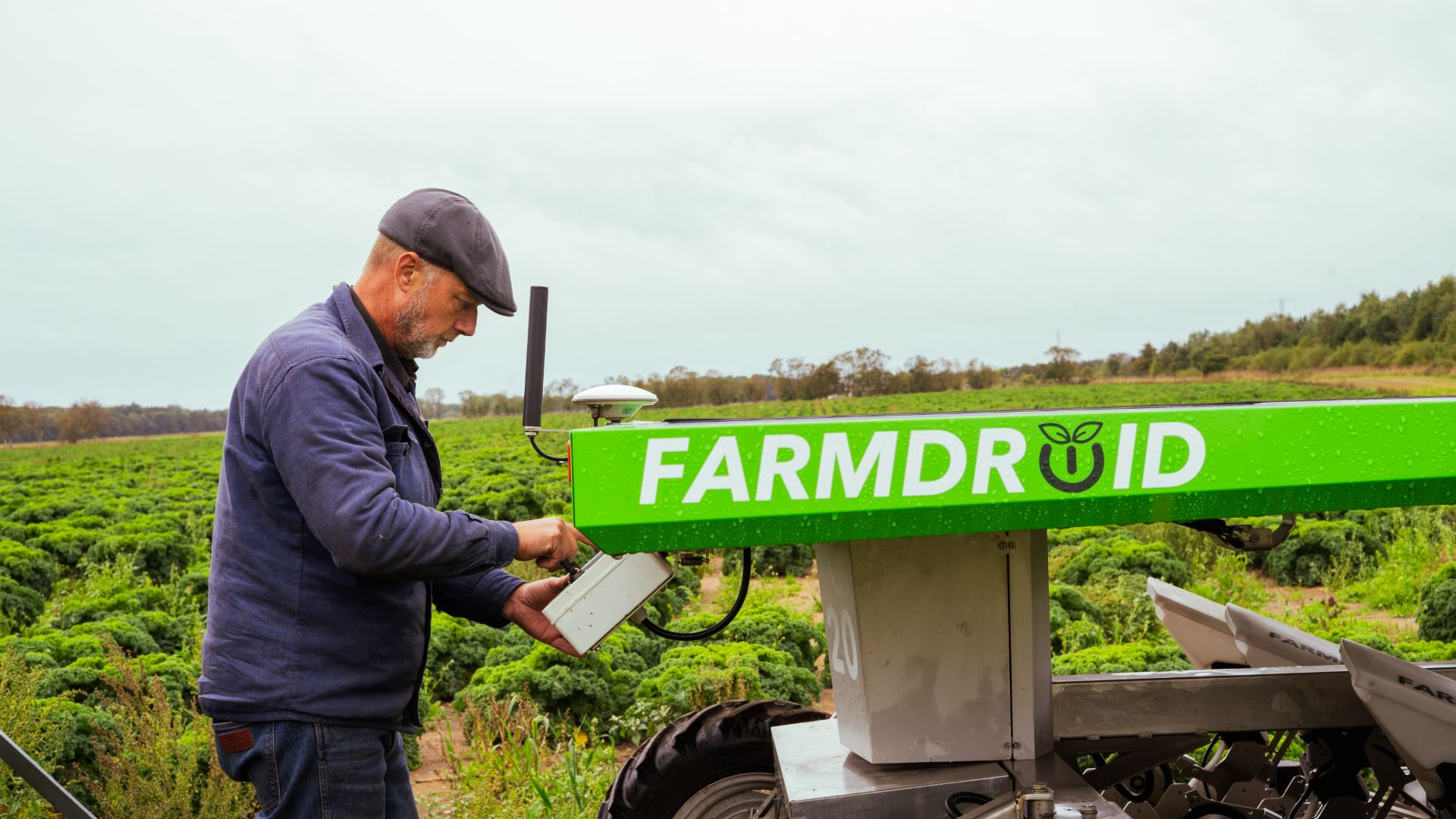 Farmer driving his FarmDroid in a Kale Field