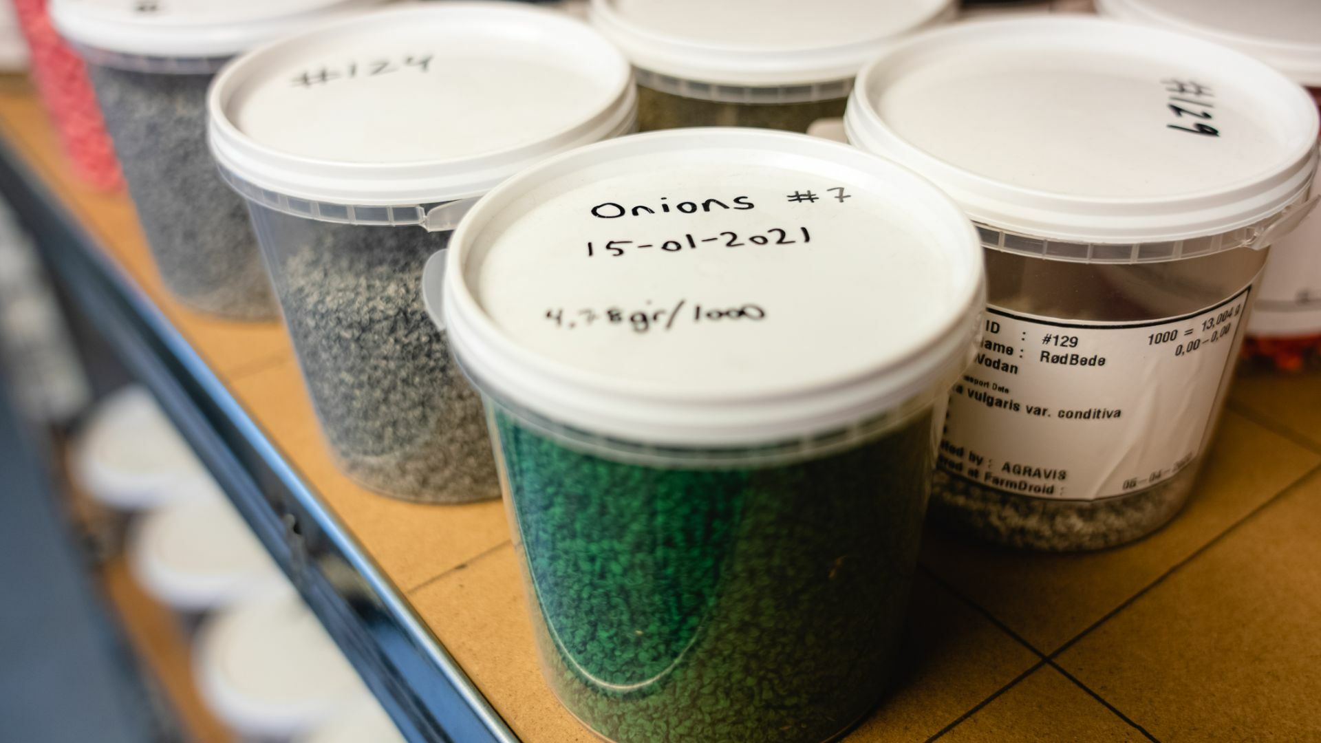 Container with onions written on it and with green seeds in it