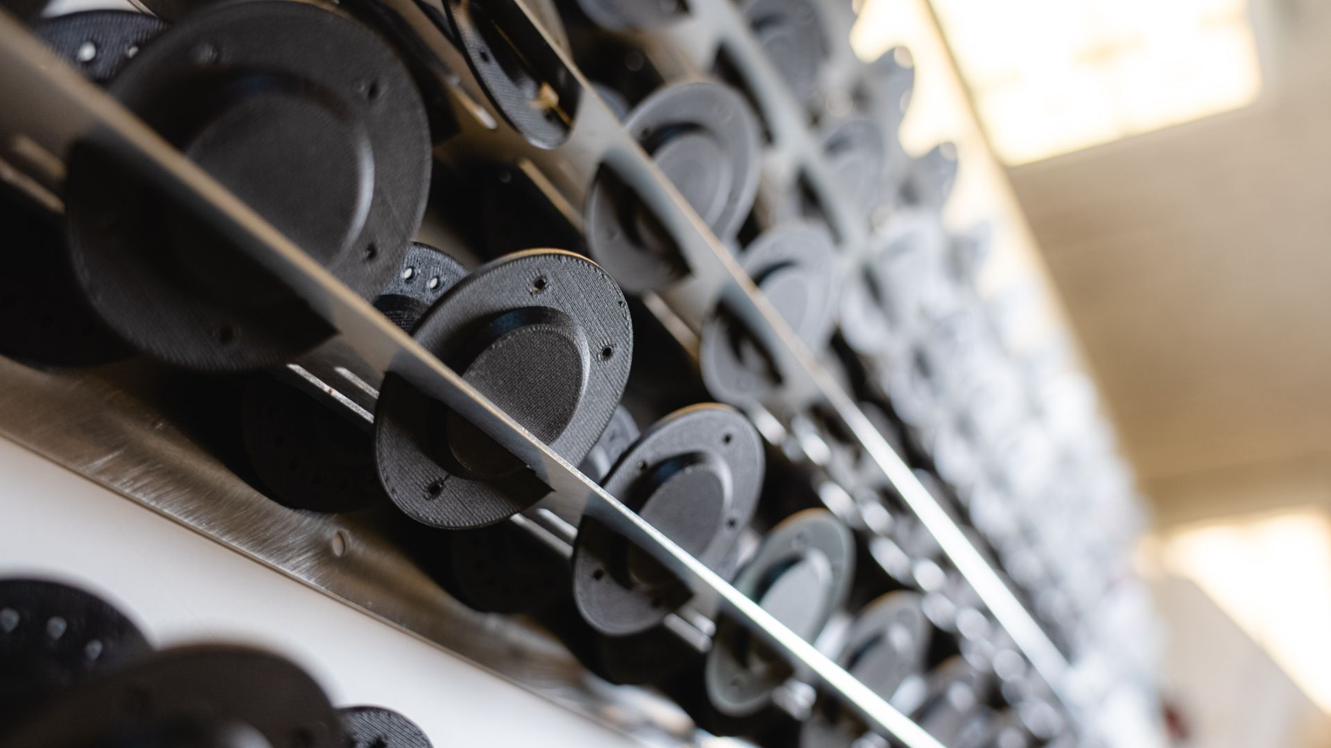 Different seeds discs lined up