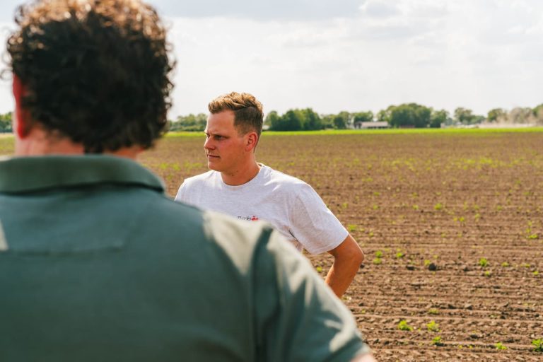 Joost Derks on his chicory field seeded and weeded by FarmDroid automatic field robot