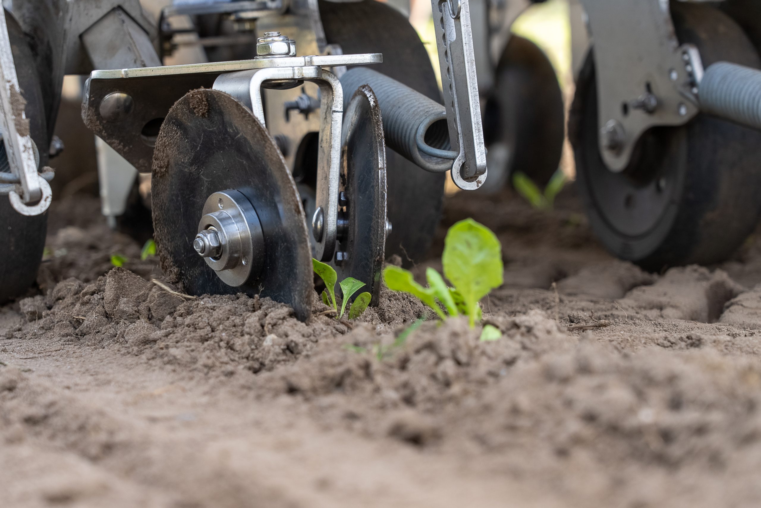 FarmDroid precision weeding tool in action, cultivating soil around young crop plants, demonstrating advanced agricultural robotics technology for sustainable farming