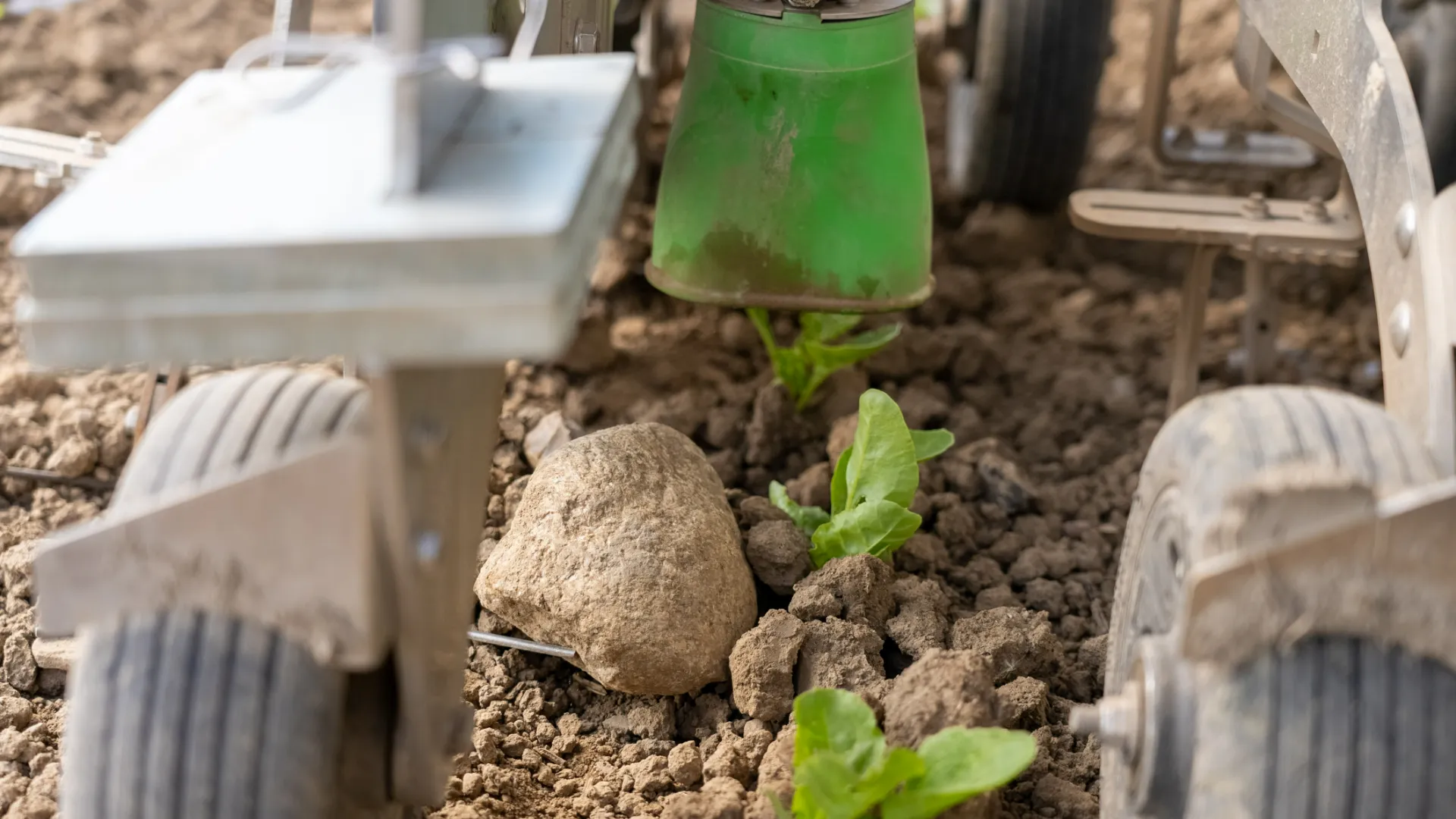 FarmDroid spot spraying system in a sugar beet field
