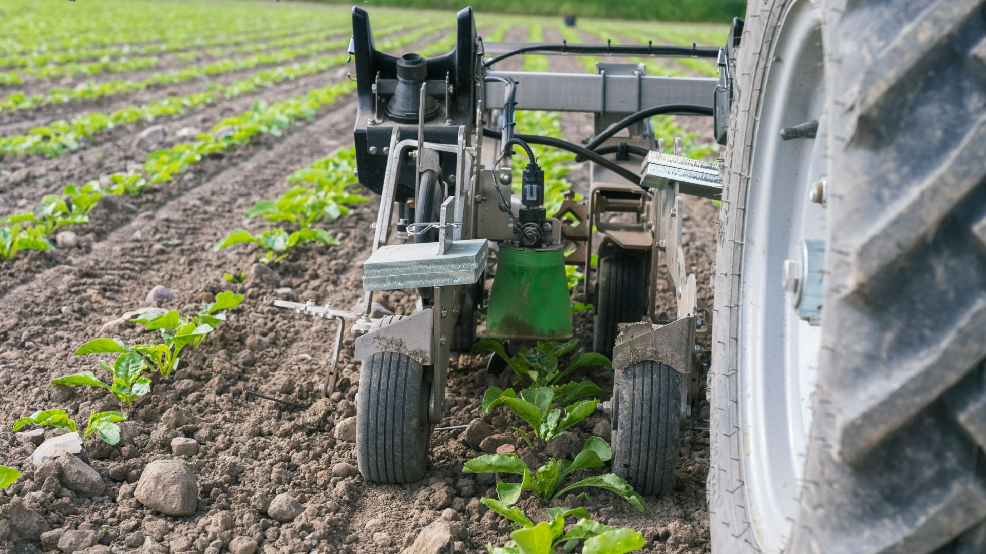 Spot Application System spraying in Sugar Beet