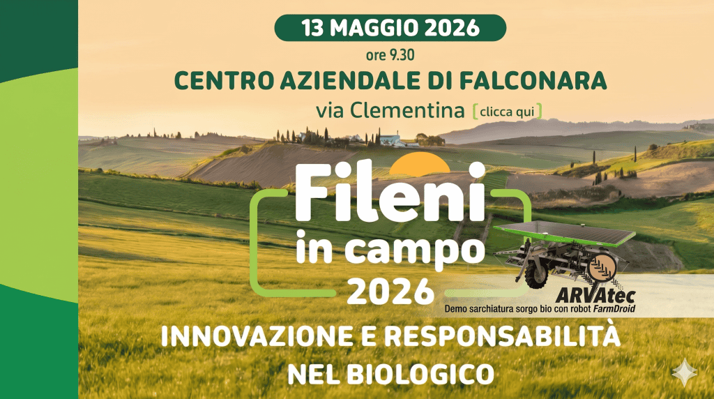 FarmDroid con Fileni field day where FarmDroid FD20 will be showcased weeding organic sorghum