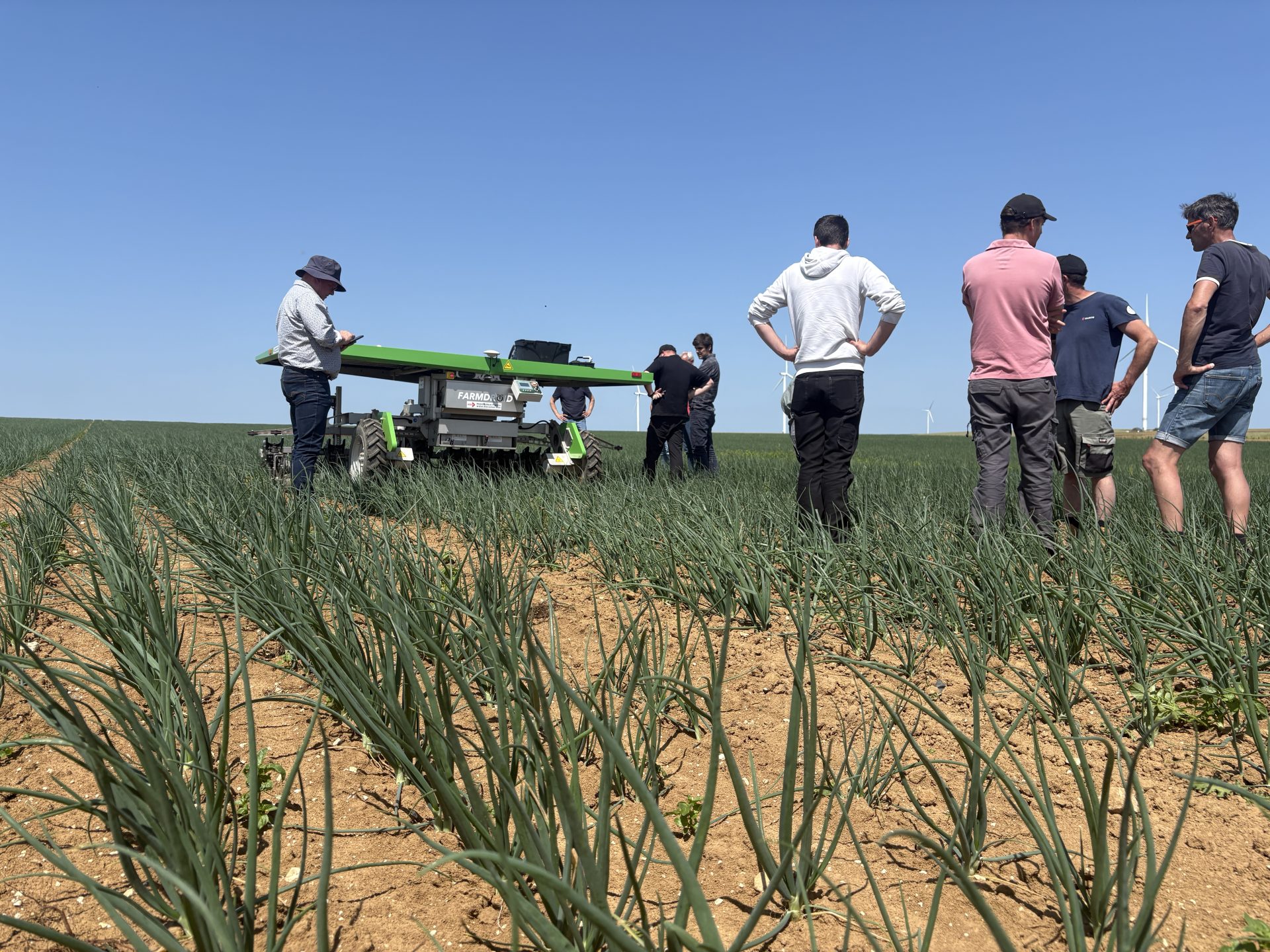 Farmers standing on an organic onion field cultivated with FarmDroid FD20